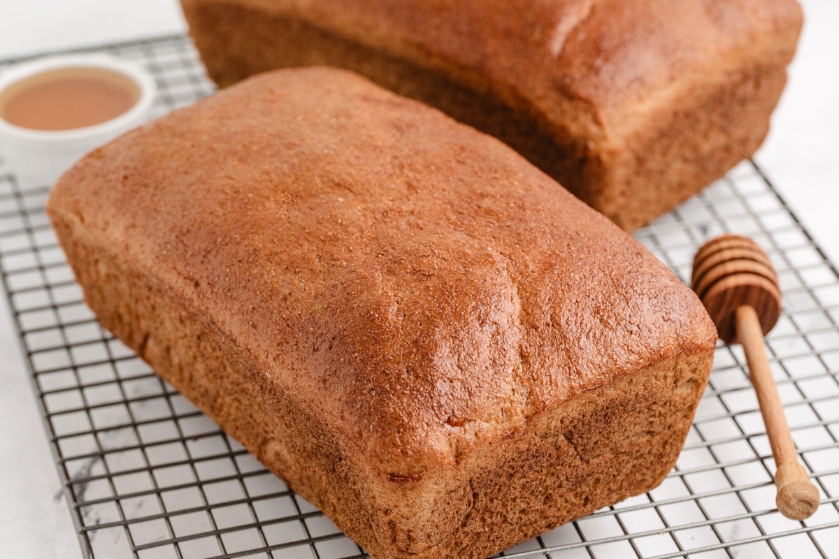 This honey whole wheat sandwich bread has been made countless times, and it never disappoints. It’s the go-to for sandwiches and toast, and it's so simple to whip up. loves of whole wheat bread homemade