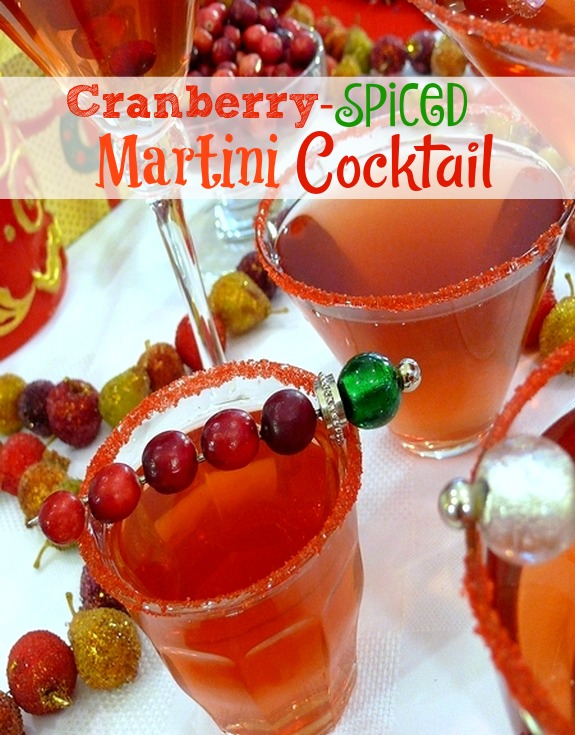 Cranberry Spiced Martini Cocktail 