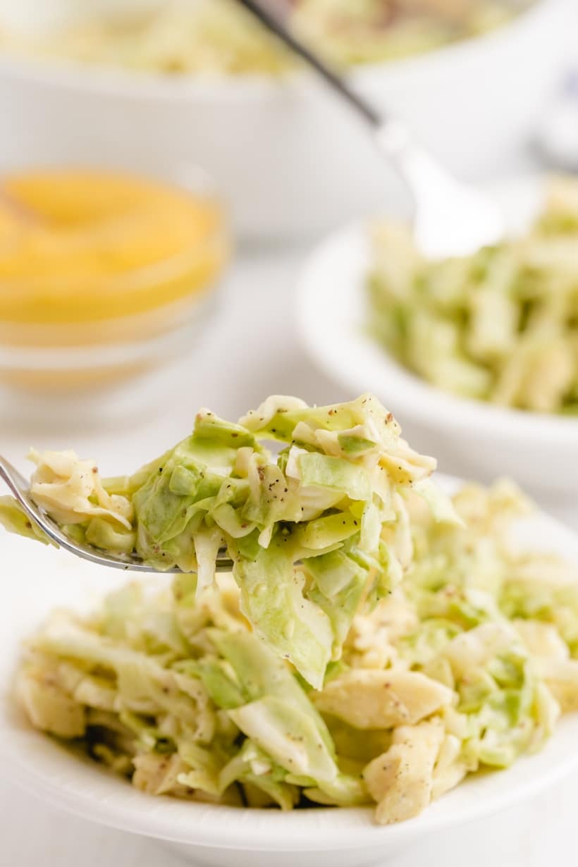 This Tennessee-Style Mustard Coleslaw is a classic mayonnaise-based coleslaw bolstered with the addition of yellow mustard. This traditionally, southern version of coleslaw is a versatile side dish that can do double duty as a burger or hot dog topper, too. recipe mustard slaw