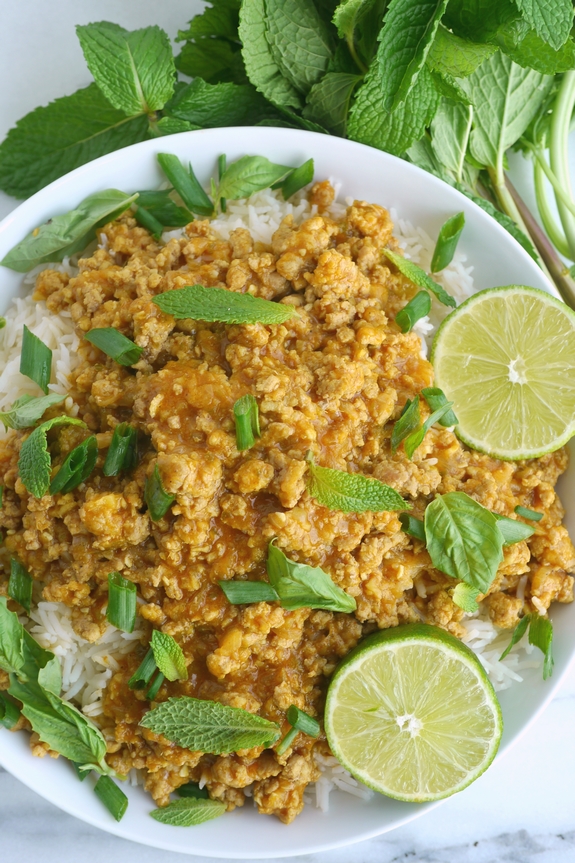 Spicy Curried Pork and Rice Bowls make a great dinner