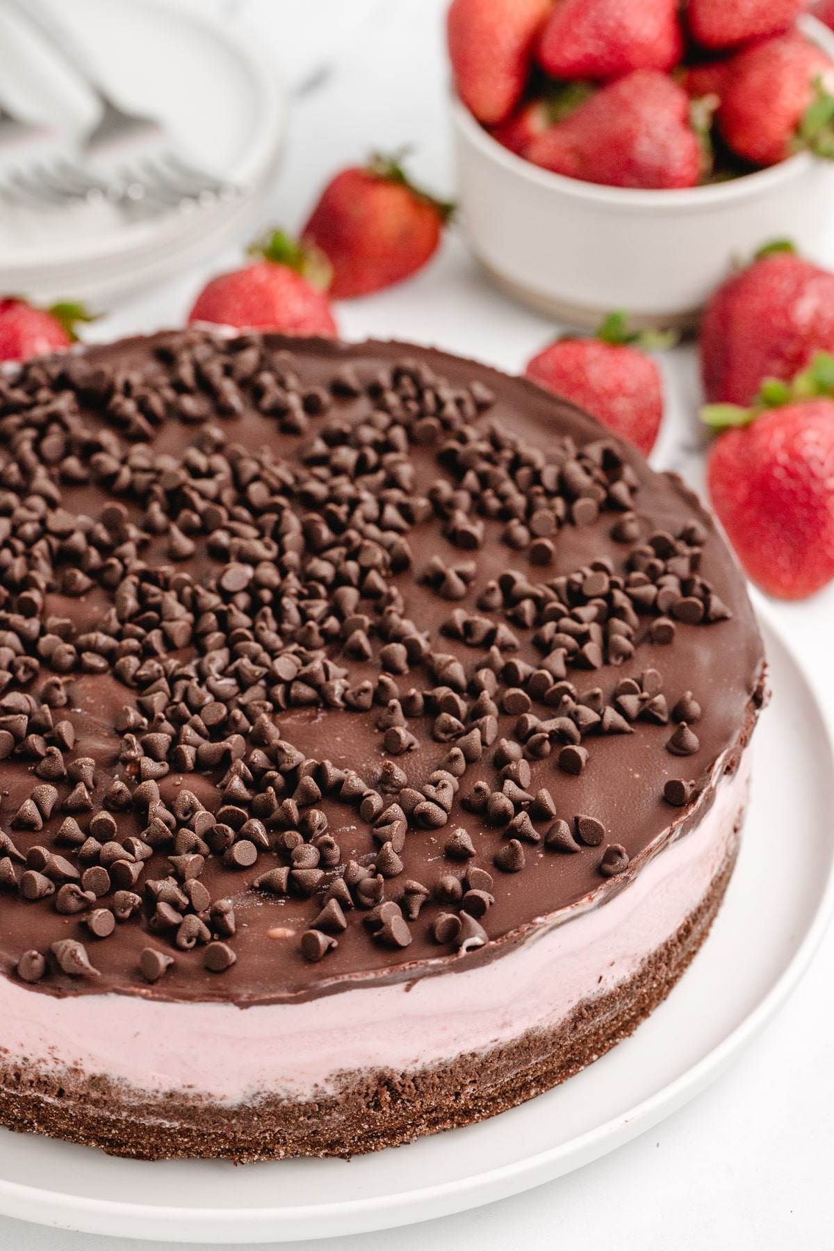 A fully assembled and frozen strawberry chocolate chip ice cream cake on a serving plate, topped with a smooth layer of chocolate ganache and sprinkled with mini chocolate chips.