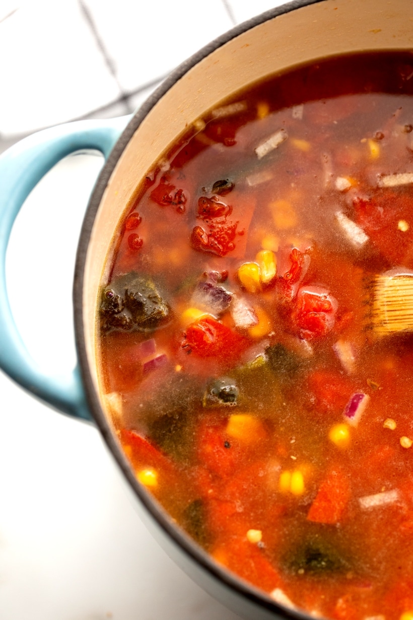 salsa soup