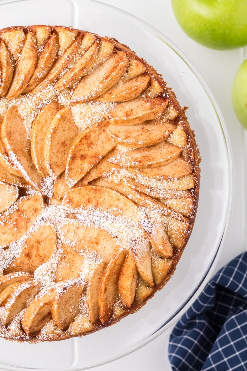 This German Apple Cake is a favorite to make. The batter rises perfectly around thinly sliced apples, creating a soft, just-right texture. A simple dusting of powdered sugar on top finishes it off nicely. german apple cake