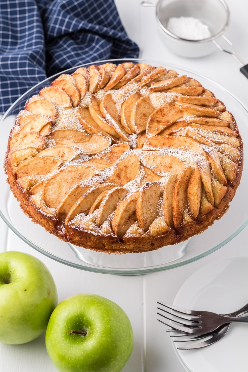 German Apple Cake is a favorite, single-layered dessert. The simple, vanilla-flavored batter rises perfectly around thinly sliced, fanned apples and finished with a generous dusting of confectioners' sugar. german cake