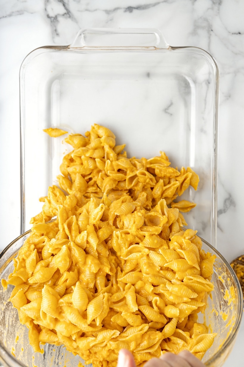 pumpkin macaroni