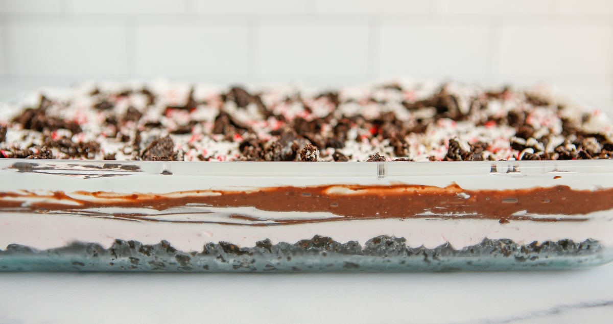 No-Bake Christmas Dessert in 9 x 13 Dish Chocolate peppermint lush in a 9 x 13 dish with crushed candy canes and whipped topping.