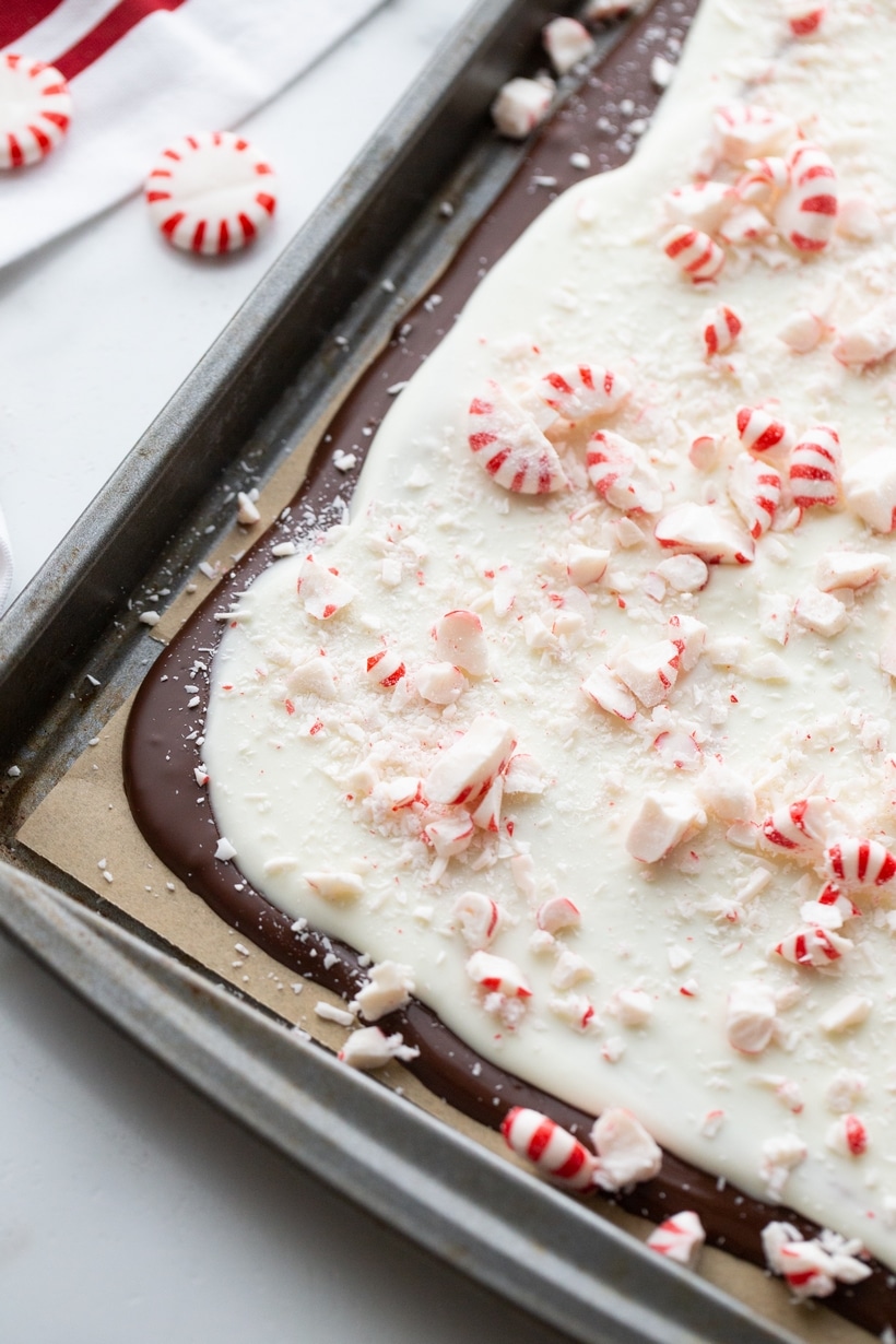 Whole slab of double chocolate peppermint bark on a baking tray before breaking into pieces.