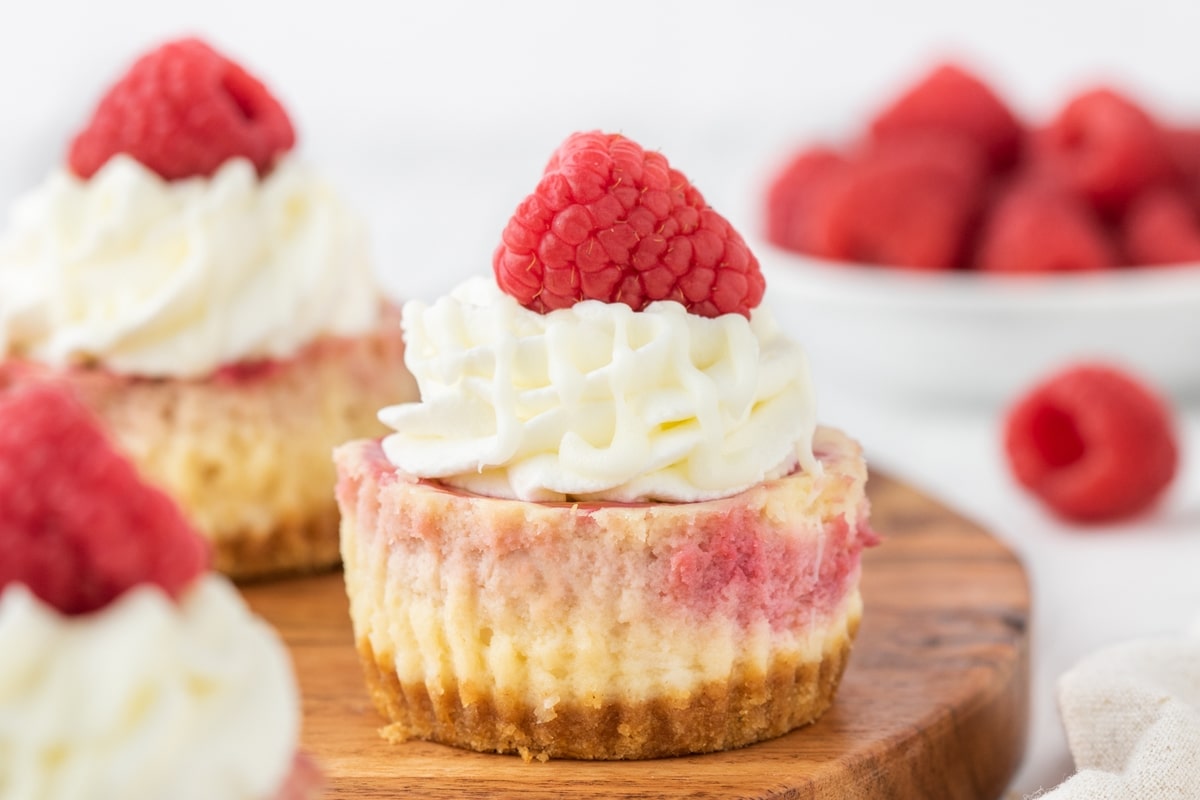 Stacked mini white chocolate raspberry cheesecakes showing the graham cracker crust and creamy filling.