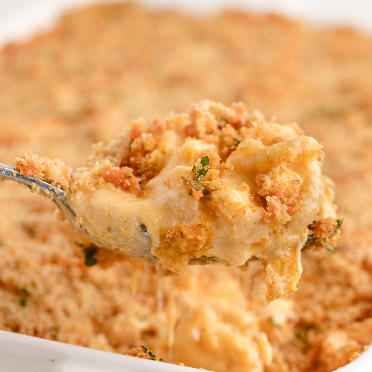 Buffalo Chicken Mac and Cheese for game day buffalo chicken mac and cheese