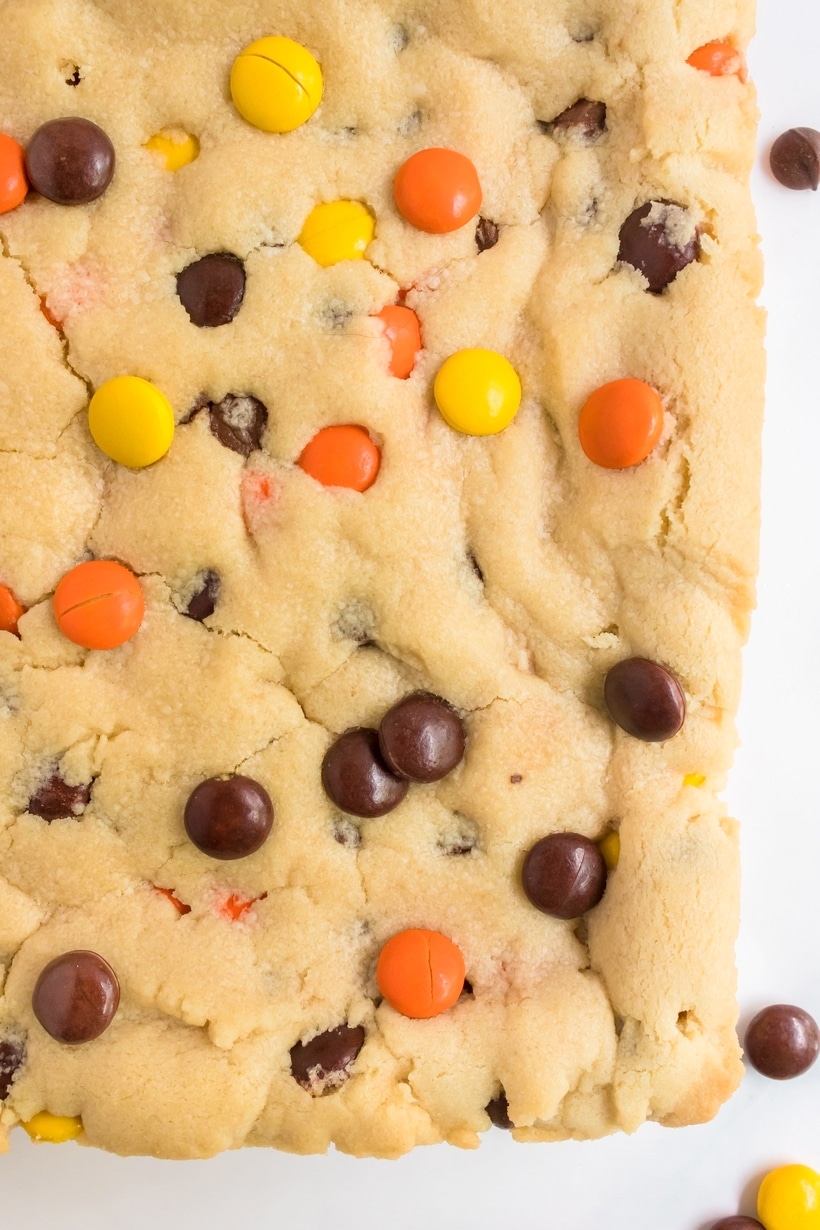 This is the cookie bar recipe to make as a tailgating dessert, back-to-school treat or just because. It's also perfect for the fall season and a great Halloween dessert. reeses pieces cookie bars