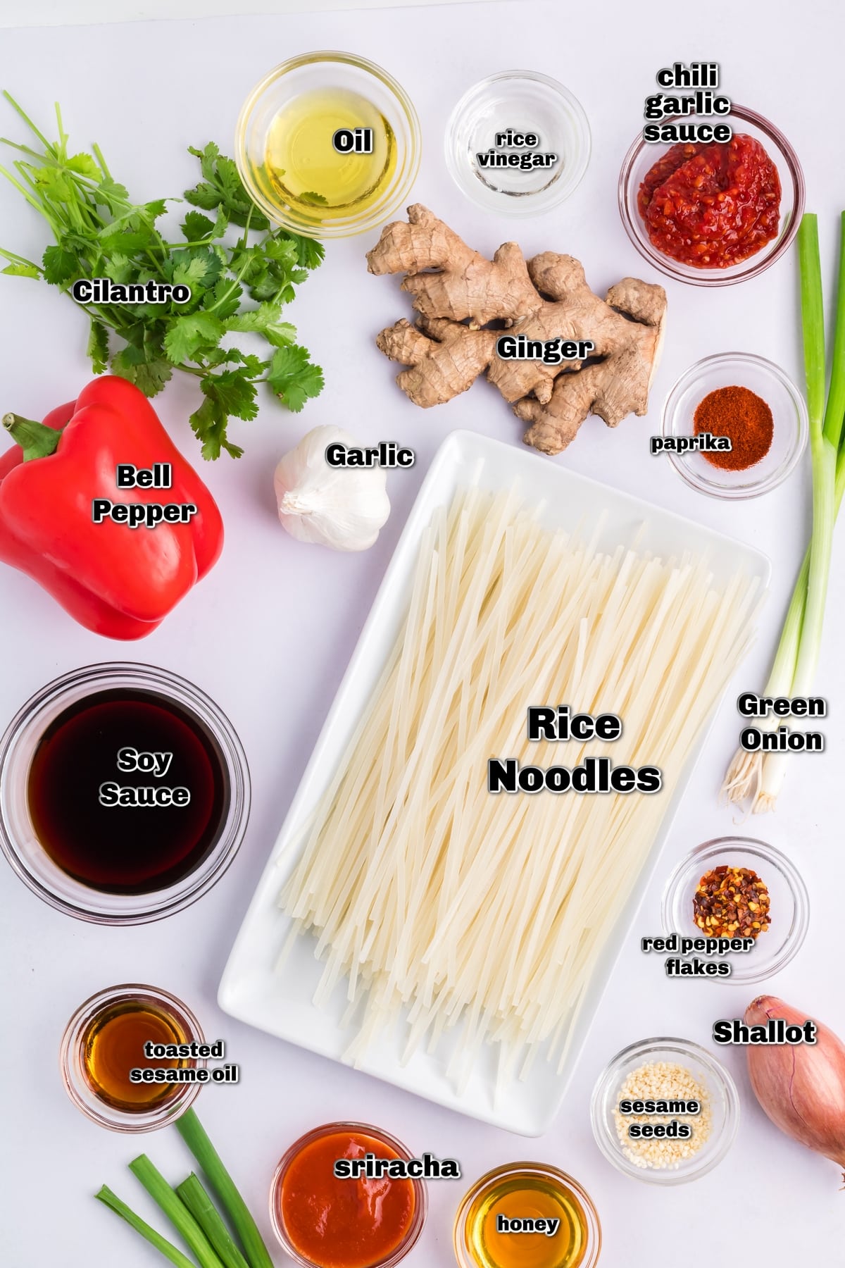 Chili garlic noodles, a quick and delicious side dish recipe tossed in a spicy-fragrant chili garlic sauce. Perfect for a busy weeknight and packed with so much flavor. I love making this noodle dish. ingredients