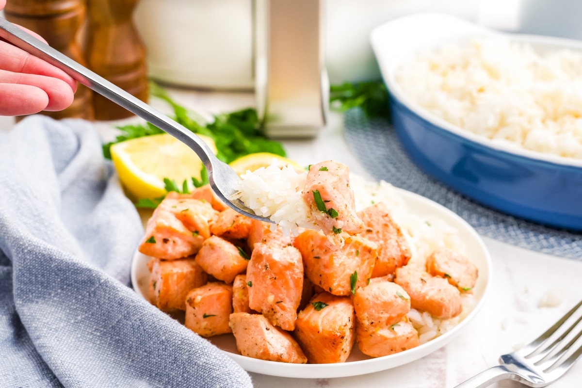 Air Fryer Salmon Bites being served on a fork. salmon bites with rice