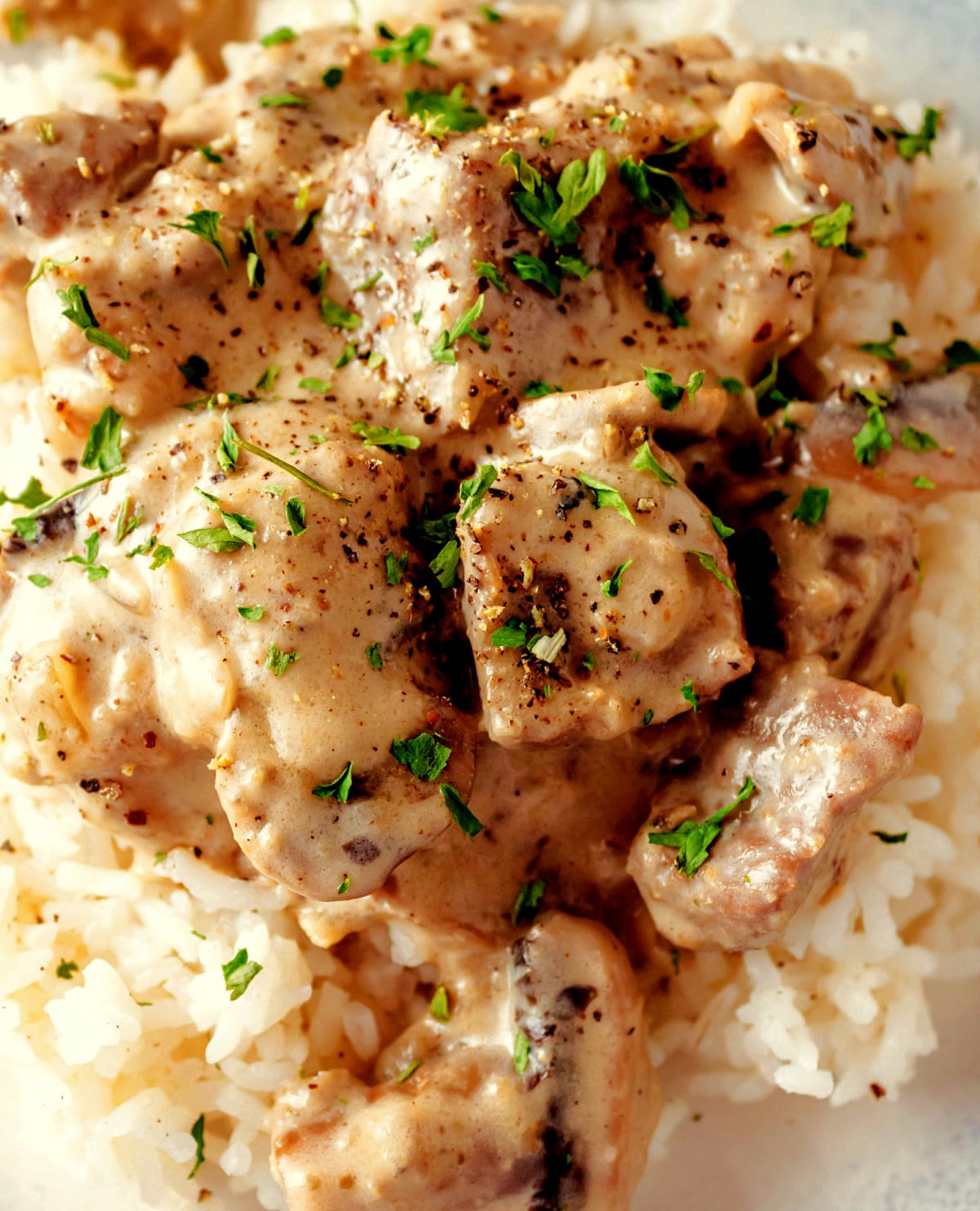 close up of beef stroganoff with rice