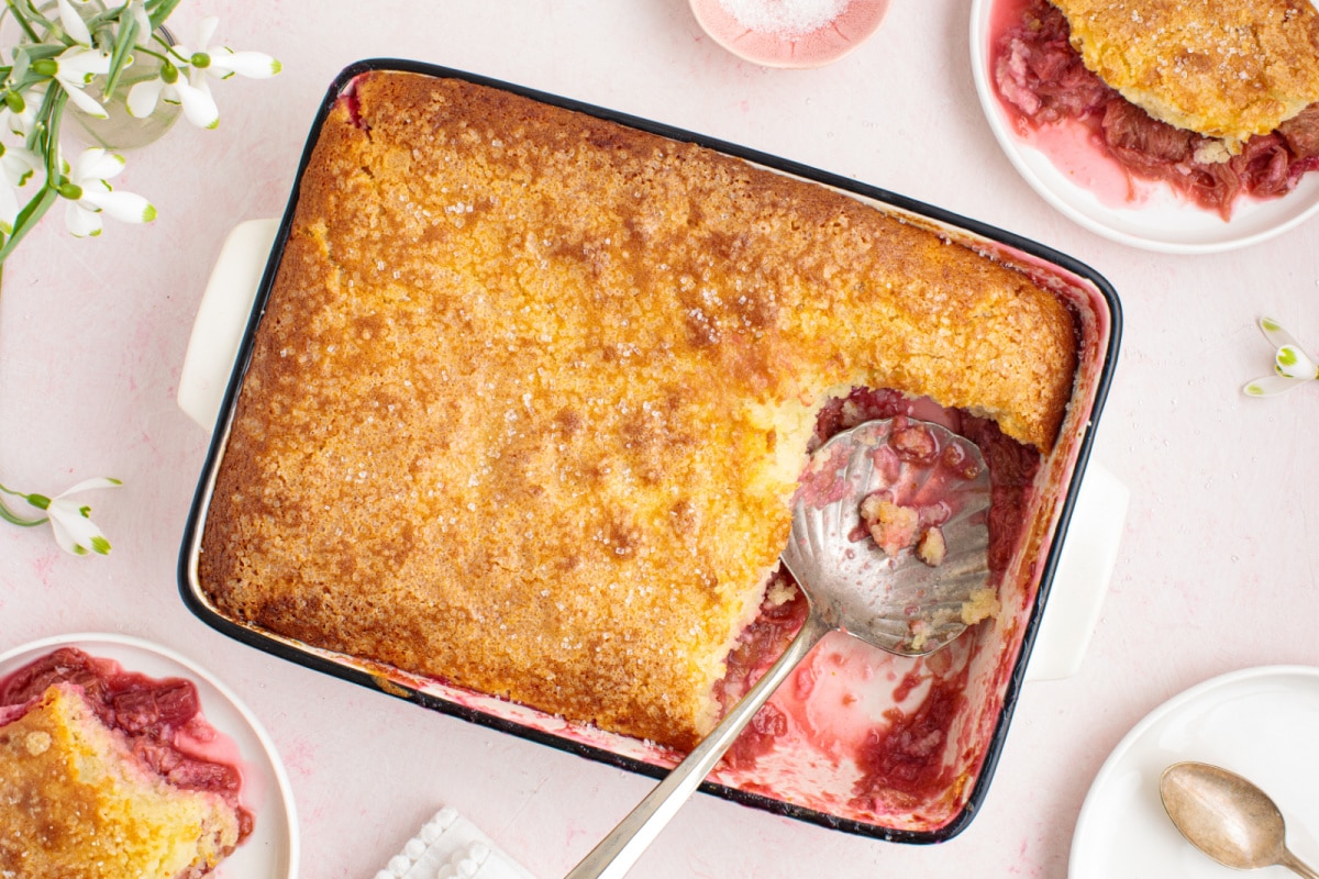 Overhead shot of baked rhubarb cobbler in a dish with one scoop missing, showing the bubbling fruit and golden topping.