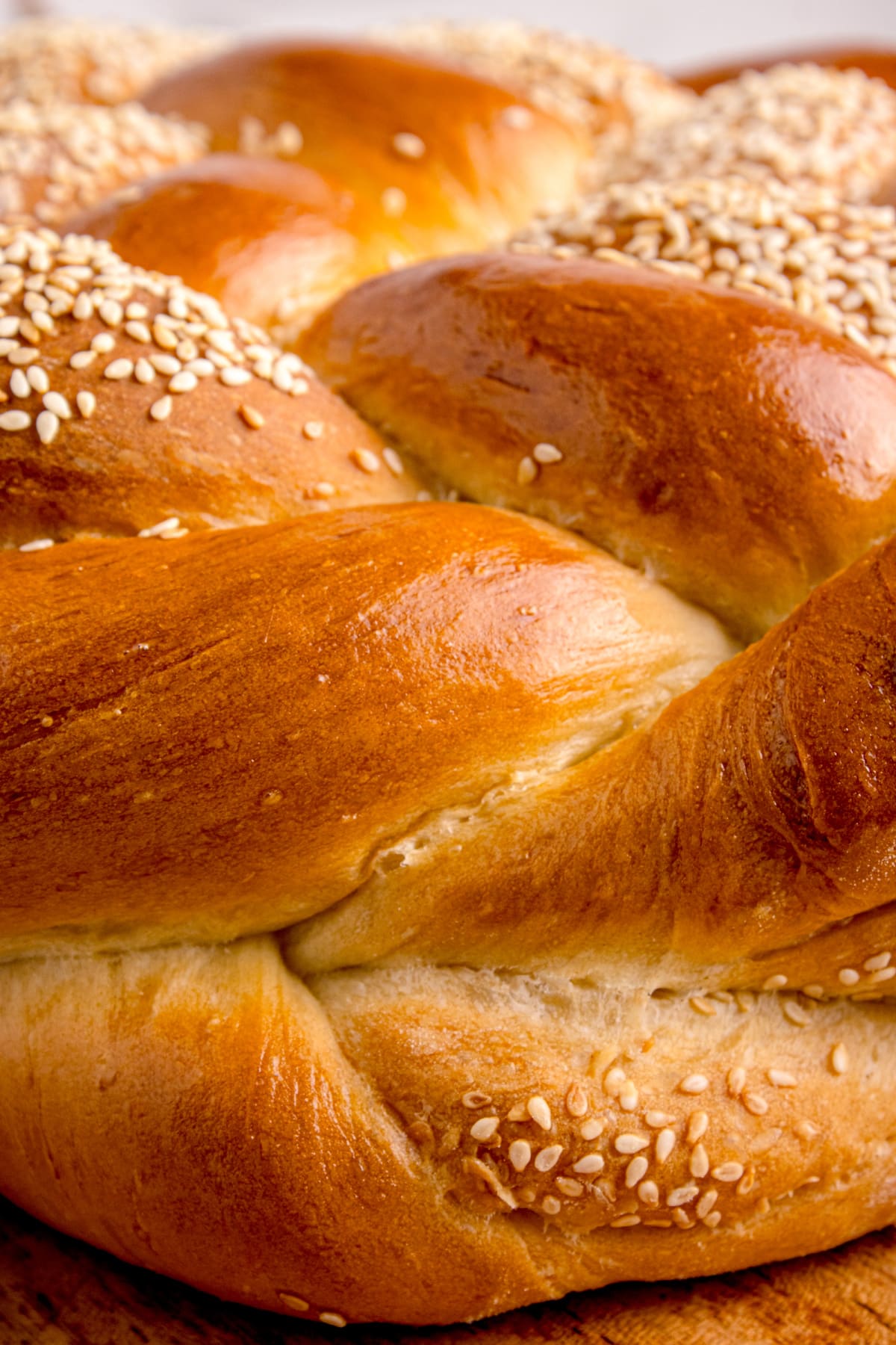 Detailed view of sesame-crusted challah braid with golden crust Close-up of the glossy braided crust on a freshly baked sesame challah