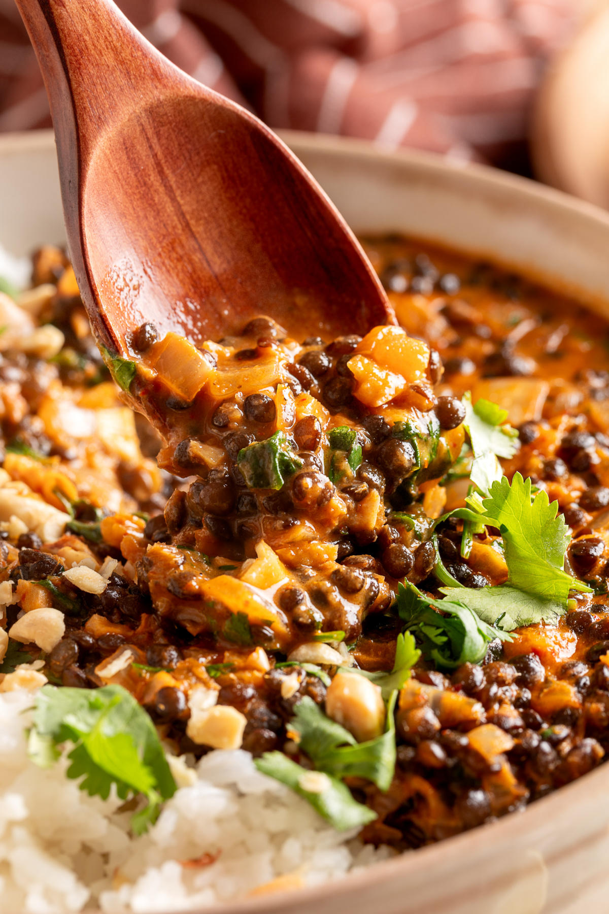 Wooden spoon scooping creamy coconut curry lentils with garlic, ginger, and curry sauce.