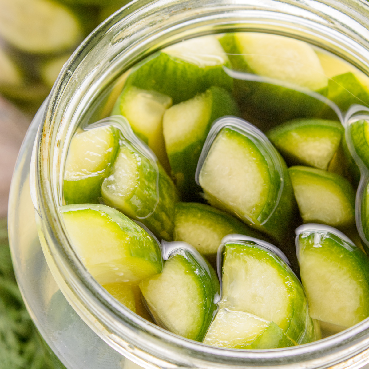 Easy Homemade Dill Pickles (Quick Refrigerator Recipe)