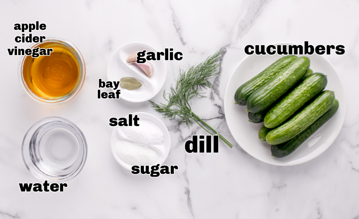 Ingredients for refrigerator dill pickles including cucumbers, vinegar, garlic, dill, and spices.
