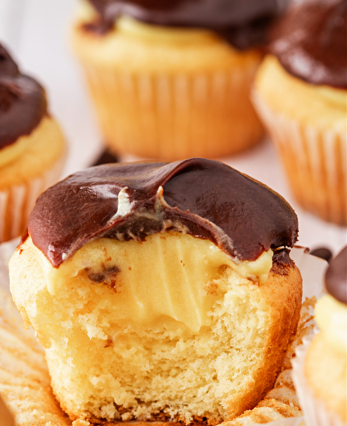 Filled Boston Cream Pie Cupcake Close-Up Close-up of a filled cupcake showing creamy vanilla pudding inside and a thick layer of chocolate ganache on top, with more cupcakes in the background