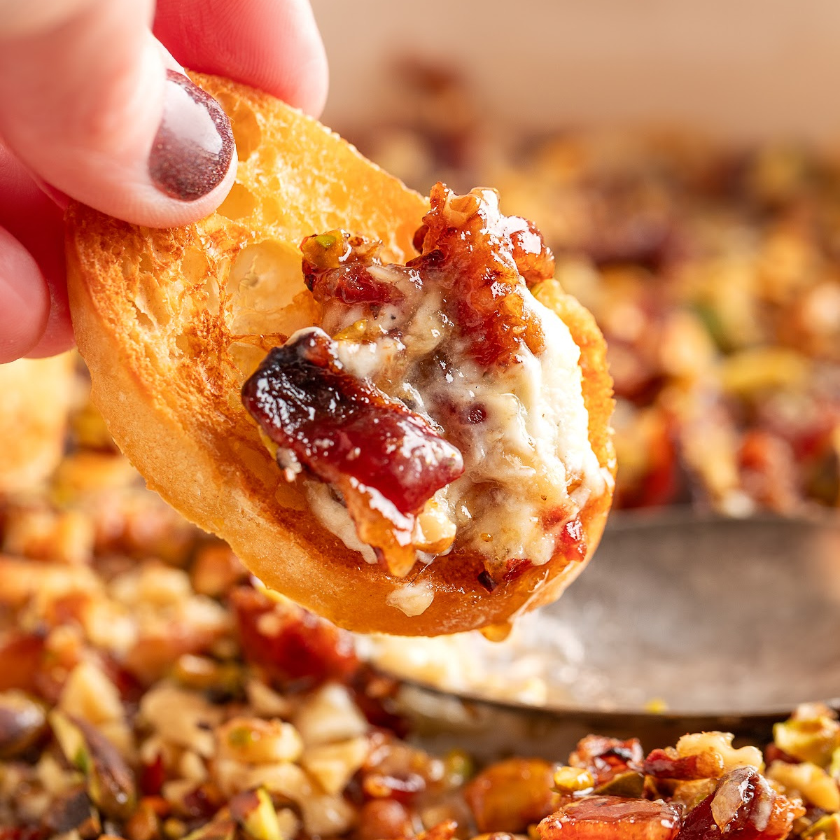 Boursin Bacon Pistachio & Fig Dip baked until bubbly and served with toasted bread for dipping.