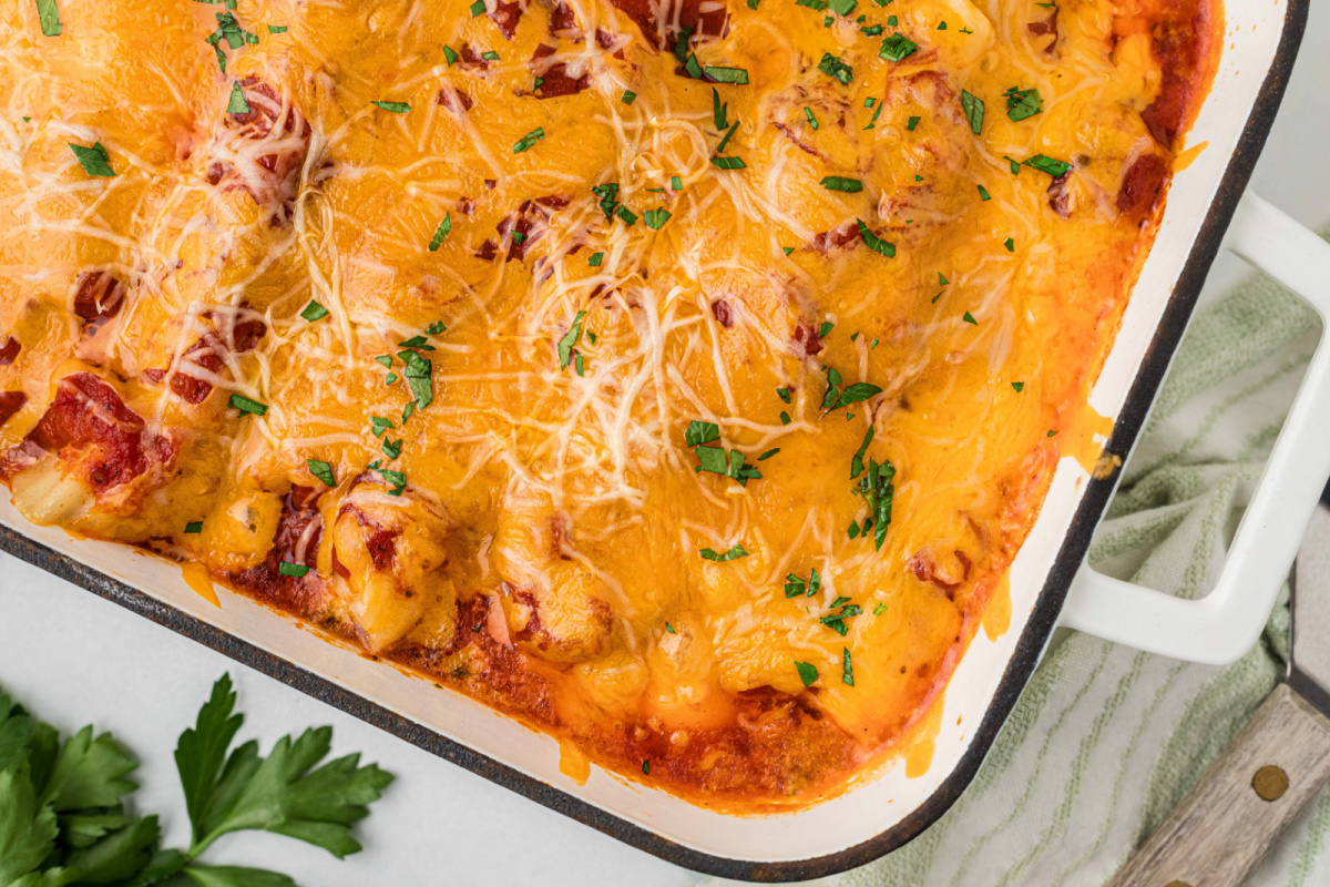 Baked manicotti fresh from the oven with bubbling marinara sauce and a melted sharp cheddar topping