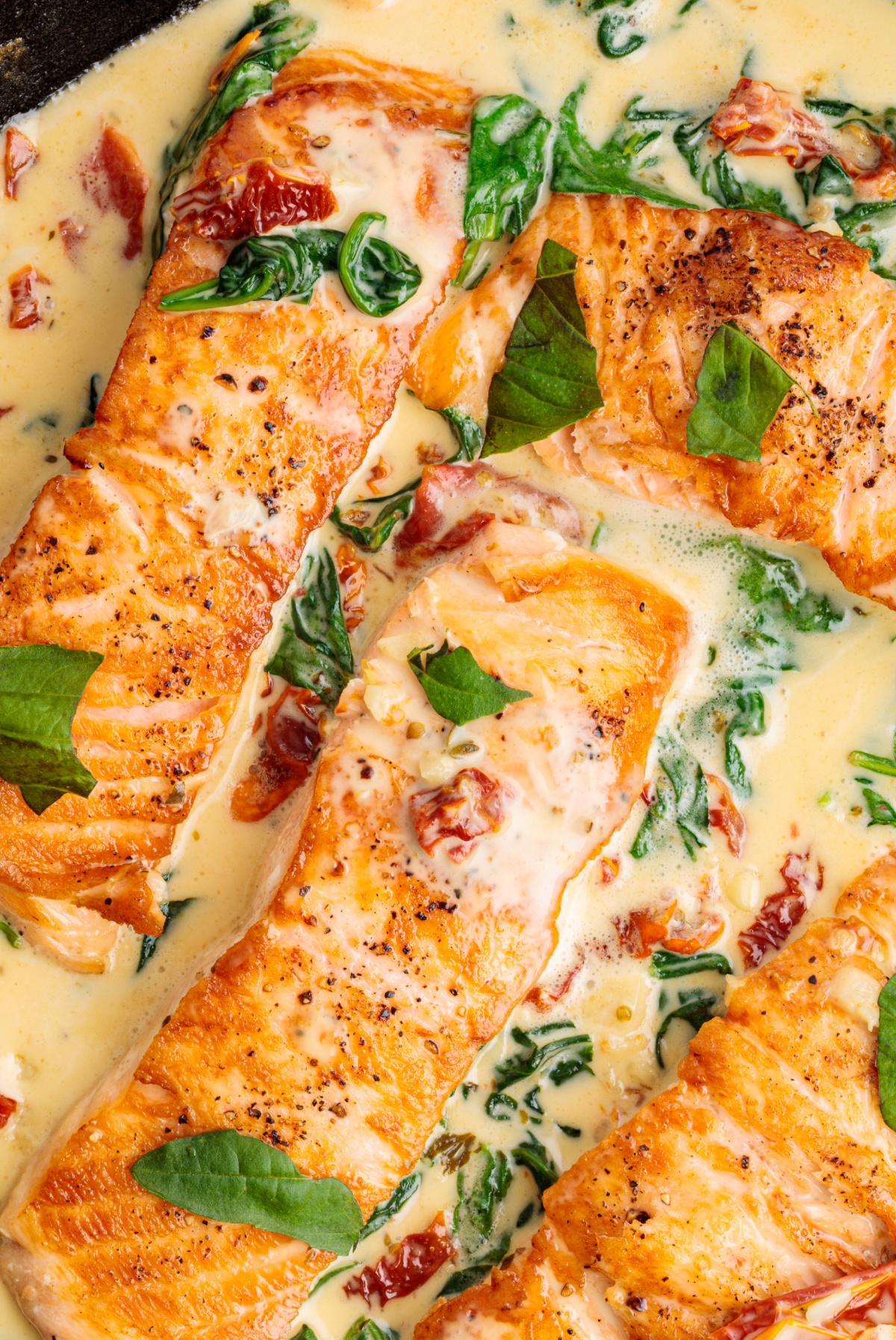 Golden seared salmon fillets finished in a creamy garlic sauce with sun-dried tomatoes and spinach in one pan. Marry Me Tuscan salmon seared until golden in a creamy garlic sauce with sun-dried tomatoes and wilted spinach.