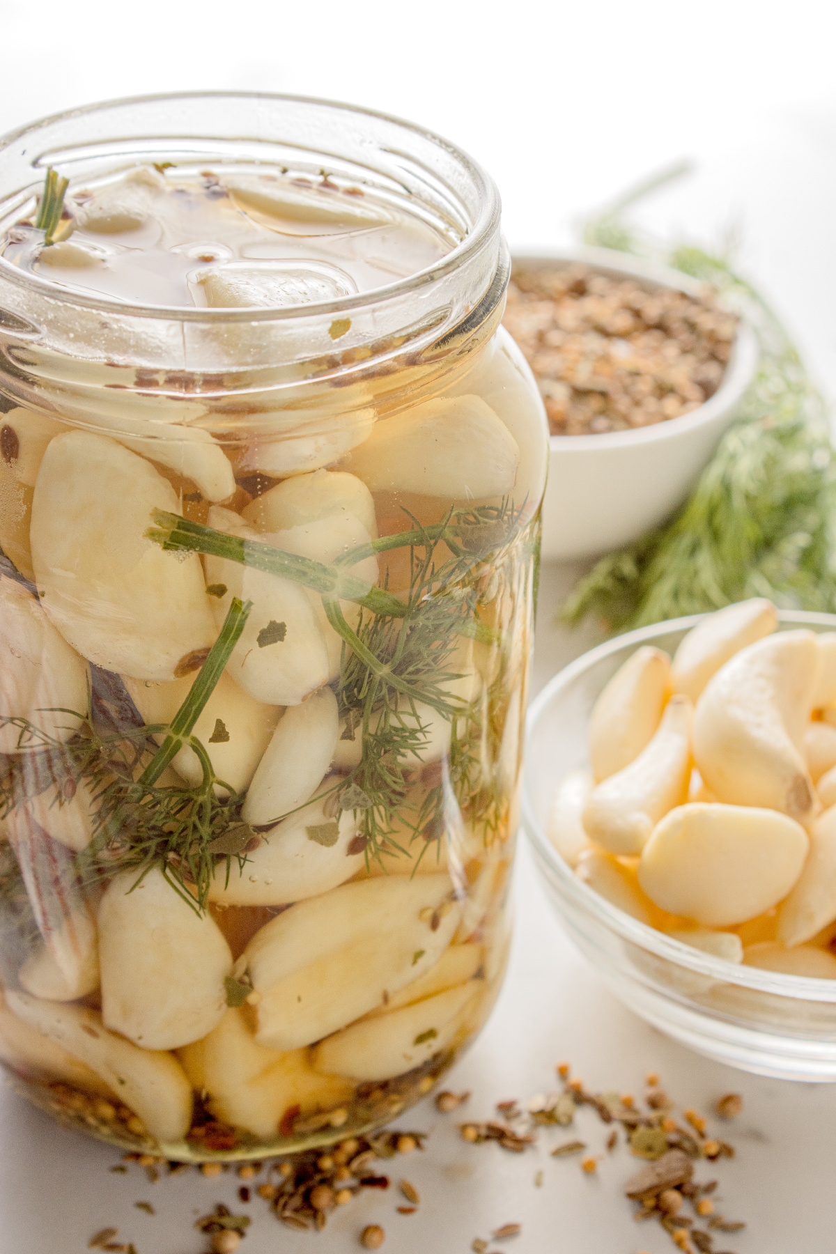 Garlic in vinegar brine Garlic cloves packed in vinegar brine with fresh dill and pickling spice