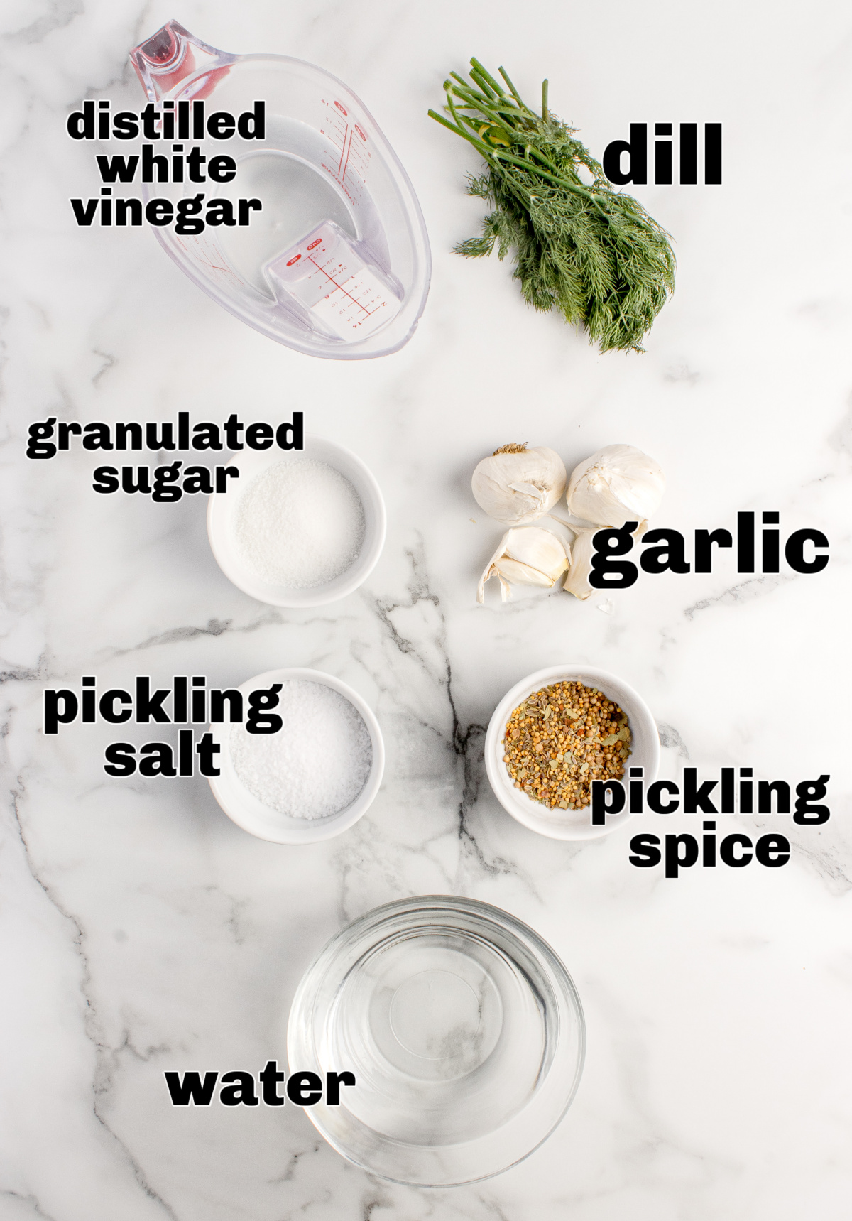 Pickled garlic ingredients Ingredients for refrigerator pickled garlic including vinegar, dill, garlic, salt, sugar, and pickling spice