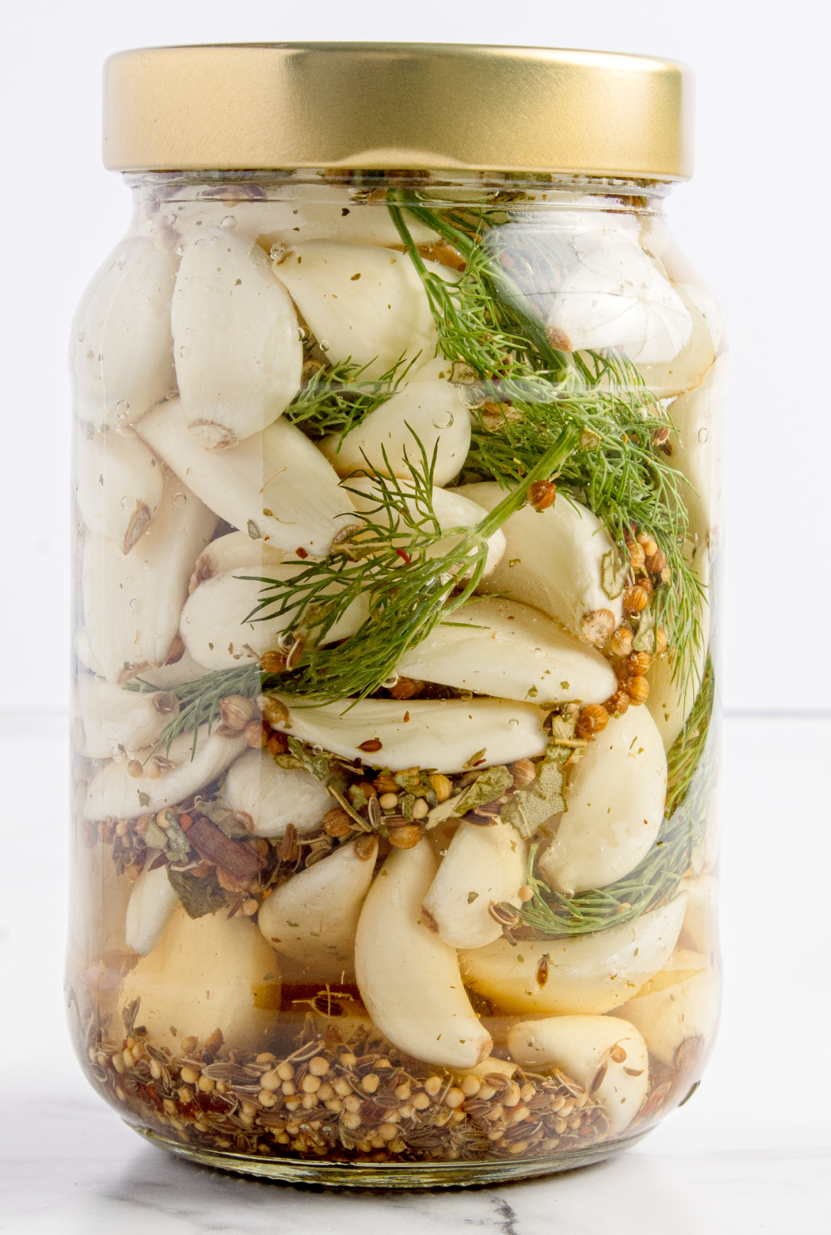Pickled Dill Garlic jar Jar of Pickled Dill Garlic with dill and spices in vinegar brine