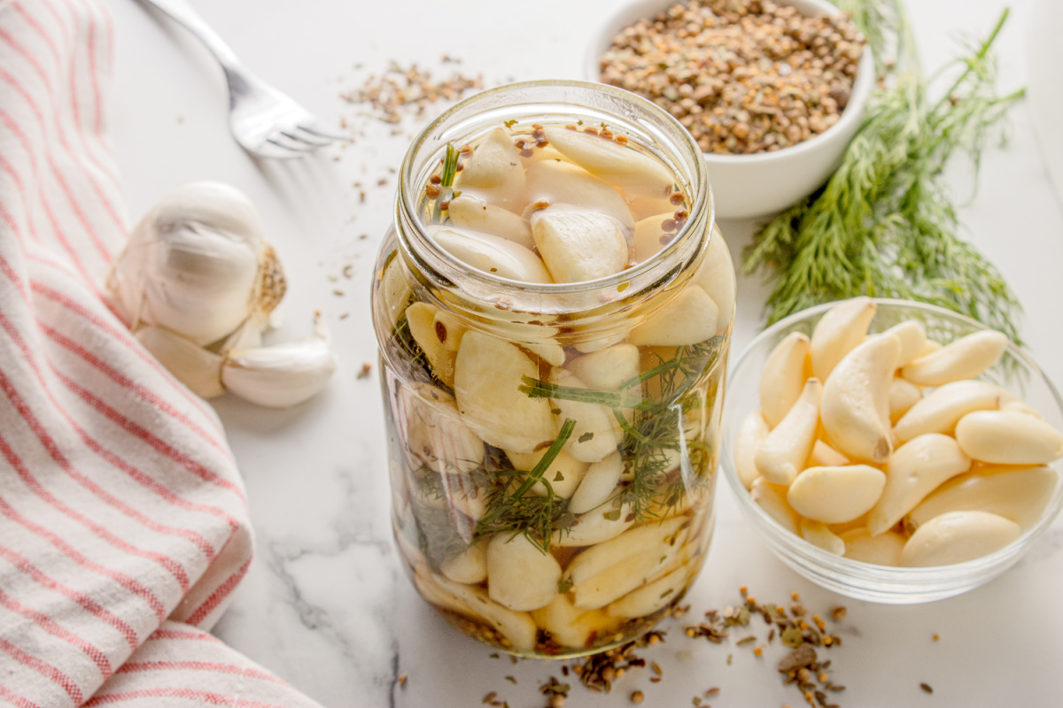 Pickled Dill Garlic with fresh ingredients Overhead view of Pickled Dill Garlic with fresh cloves, dill, and pickling spice