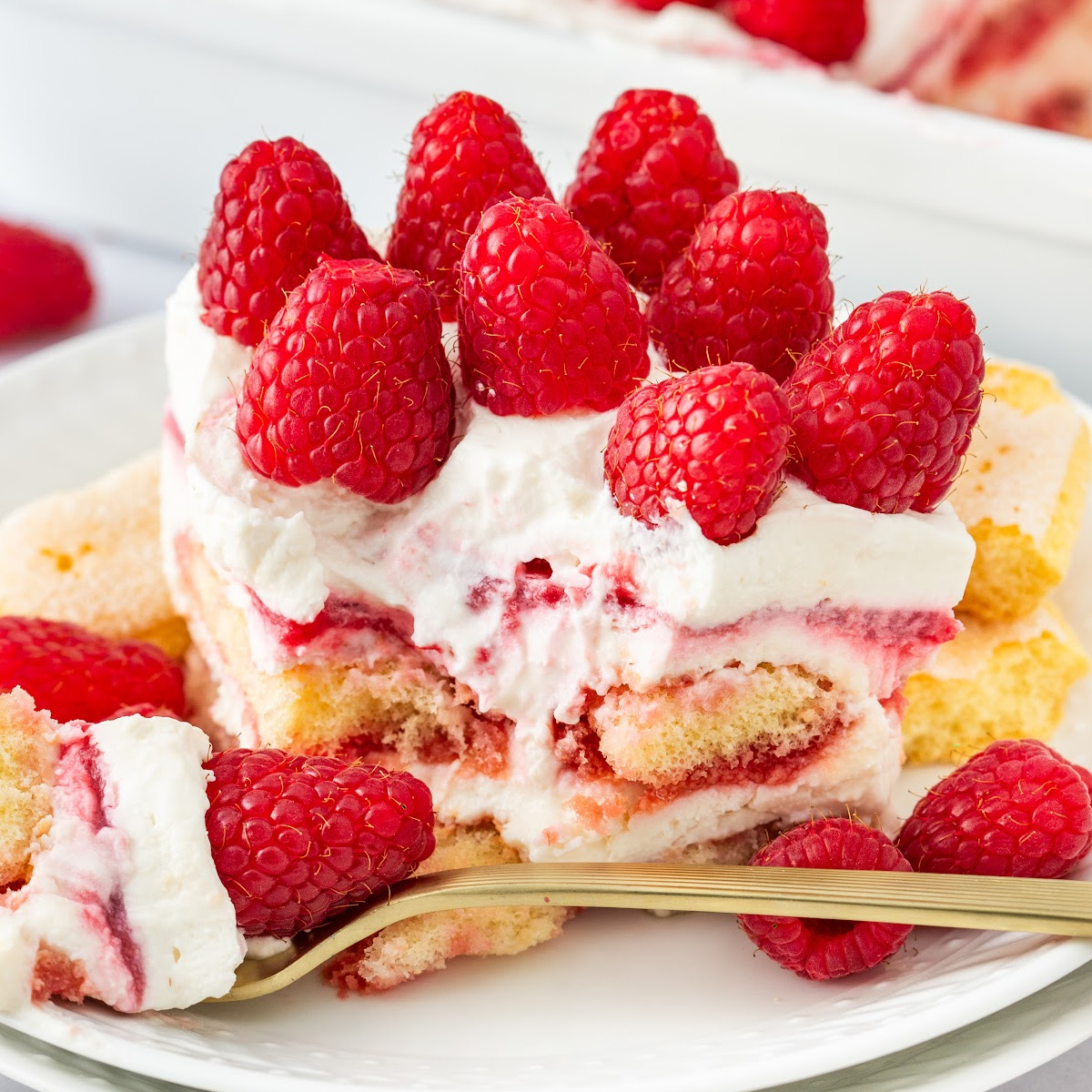 raspberry tiramisu with raspberry syrup