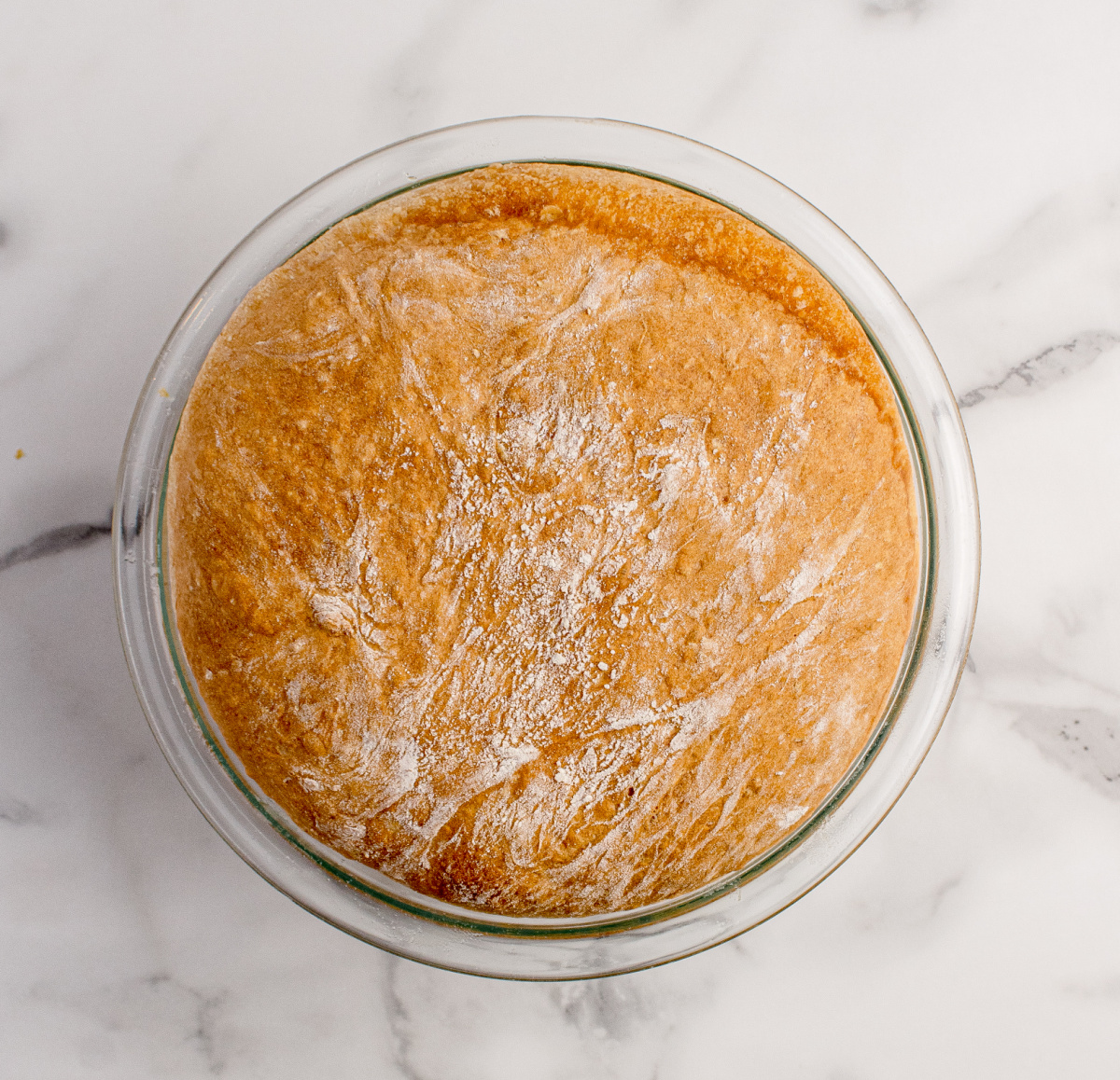 Peasant Bread Baked in a Glass Bowl Overhead view of peasant bread baked in a glass bowl