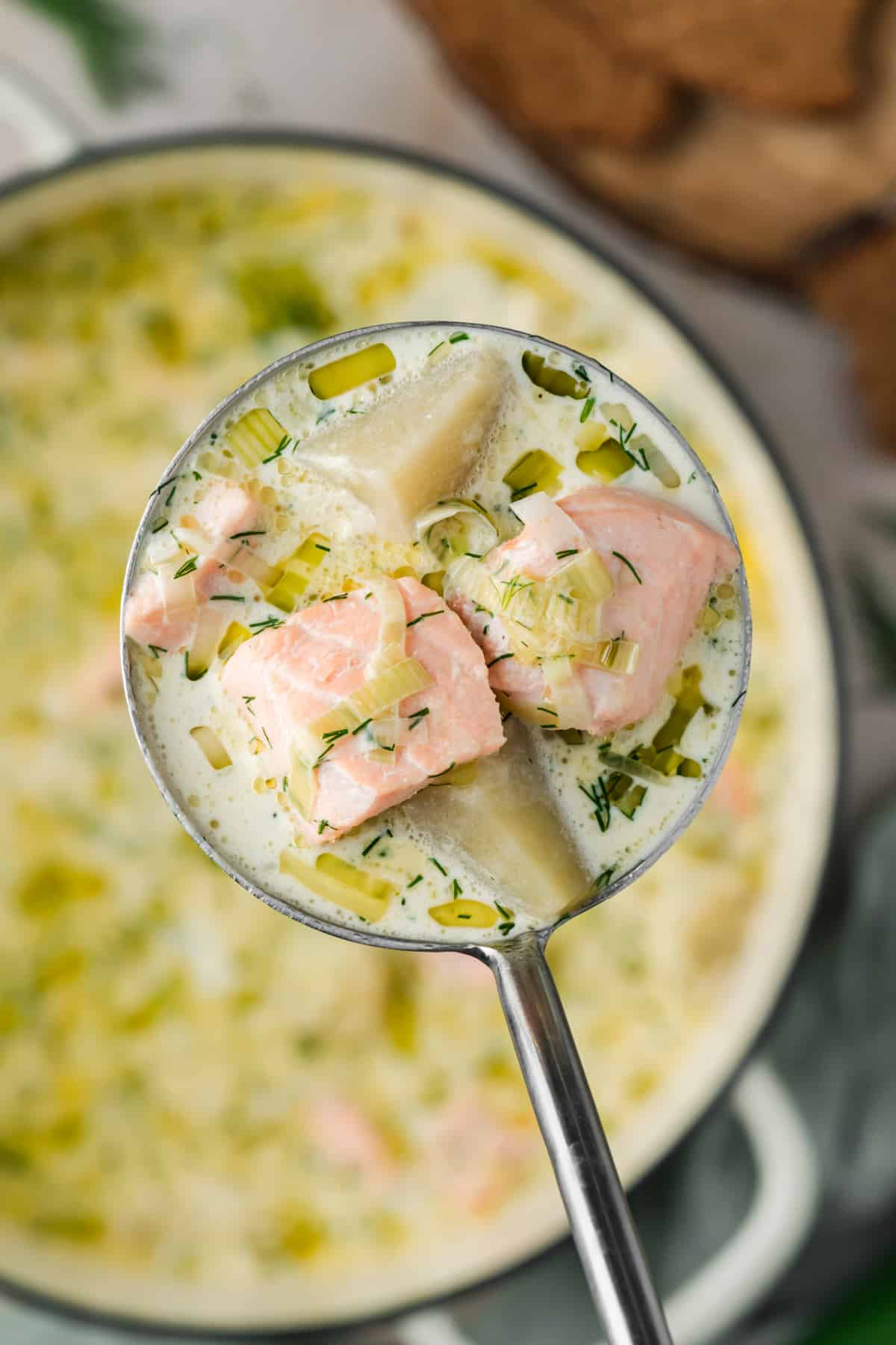 Finnish salmon soup with large pieces of salmon and potatoes in a creamy dill broth. Ladle of Finnish salmon soup with salmon, potatoes, leeks and fresh dill over the pot.