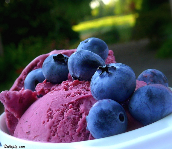 sour cream blueberry ice cream